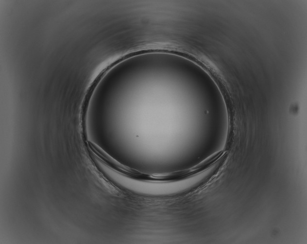 X0000091181230200708231521