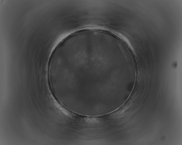 X0000091181231200708231521