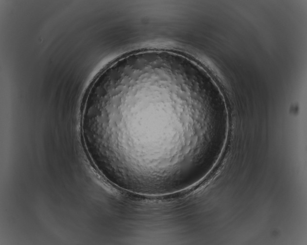 X0000091181232200708231521