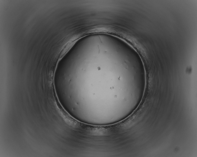X0000091181233200708231521