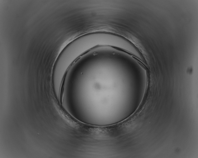 X0000091181234200708231521