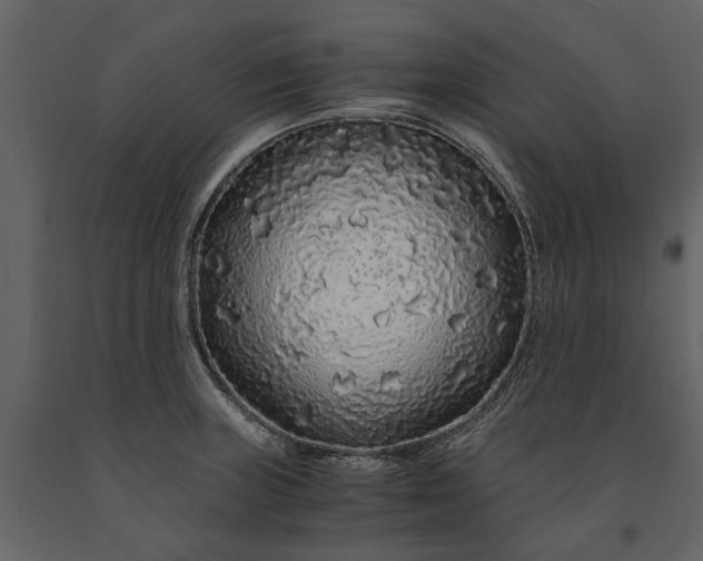 X0000091181235200708231521