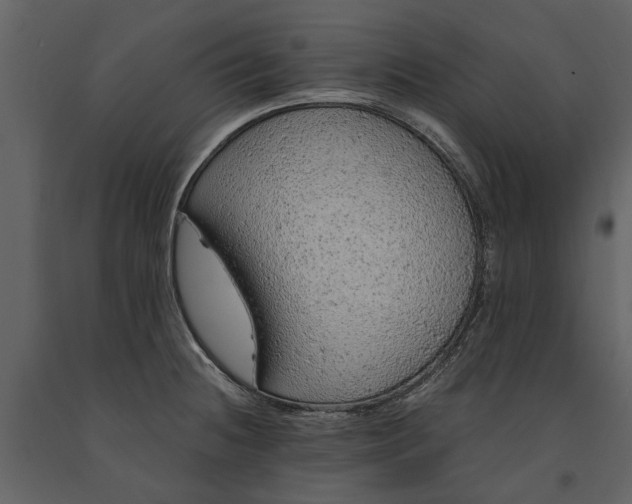 X0000091181236200708231521