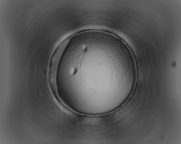 X0000091181237200708231521