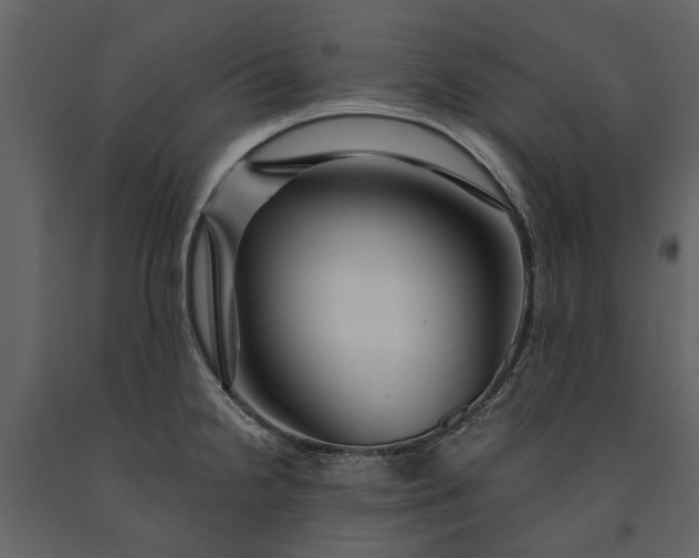 X0000091181238200708231521