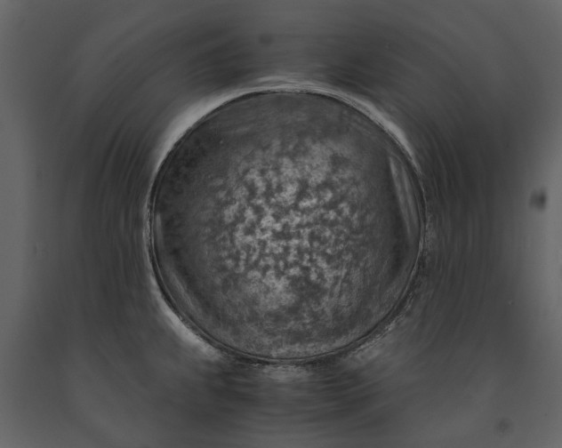 X0000091181239200708231521