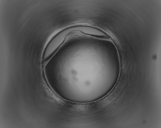 X0000091181240200708231521