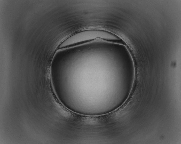 X0000091181241200708231521