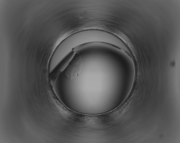 X0000091181242200708231521