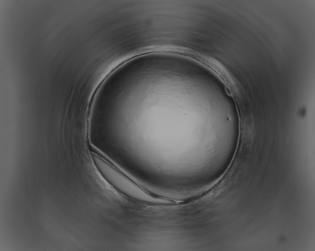 X0000091181244200708231521