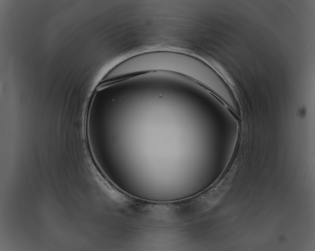 X0000091181246200708231521