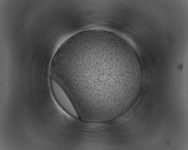 X0000091181247200708231521