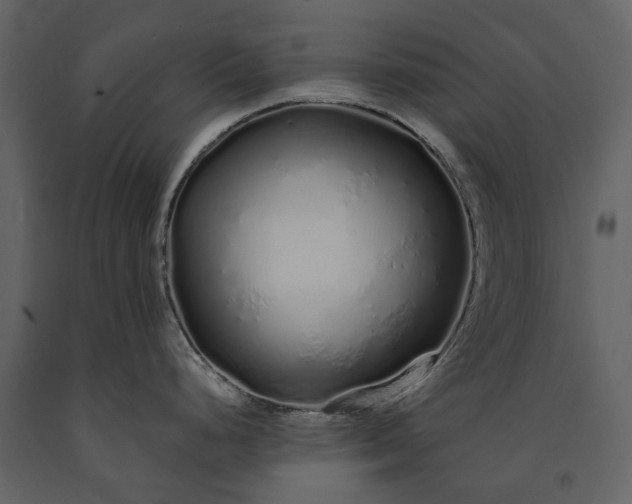 X0000091181248200708231521