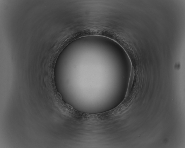 X0000091181249200708231521