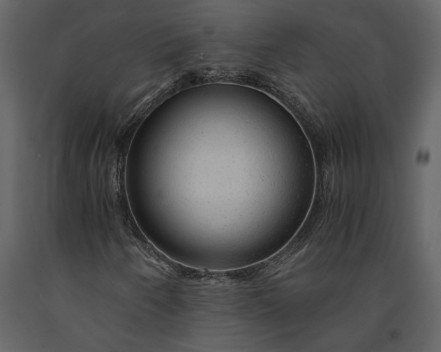 X0000091181250200708231521