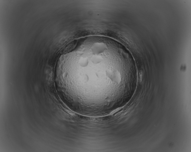 X0000091181251200708231521