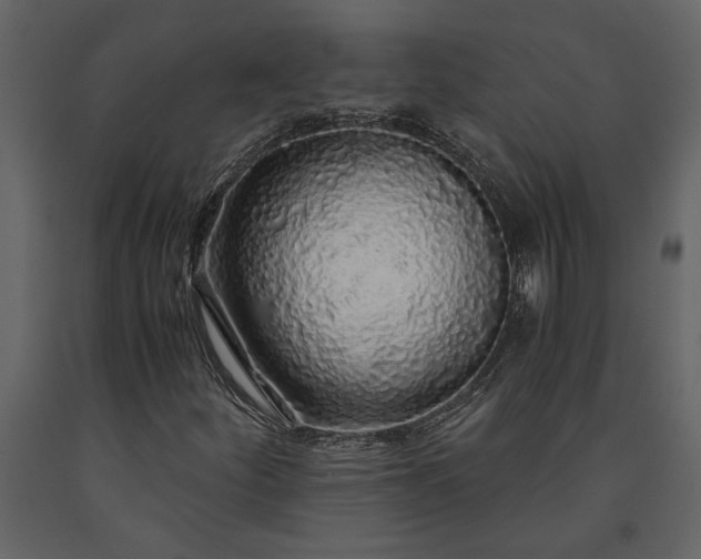 X0000091181252200708231521