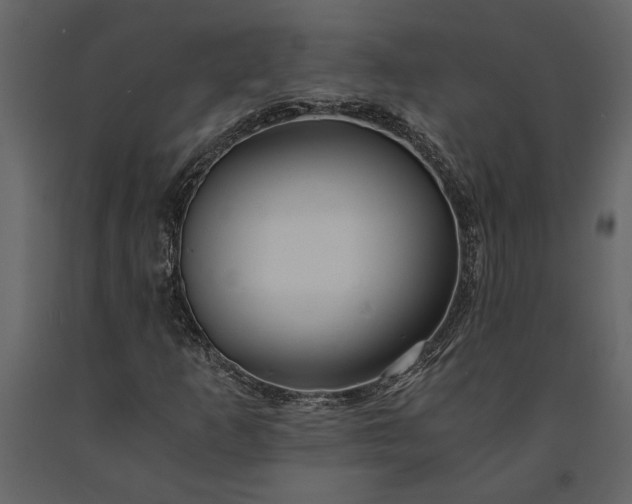 X0000091181253200708231521