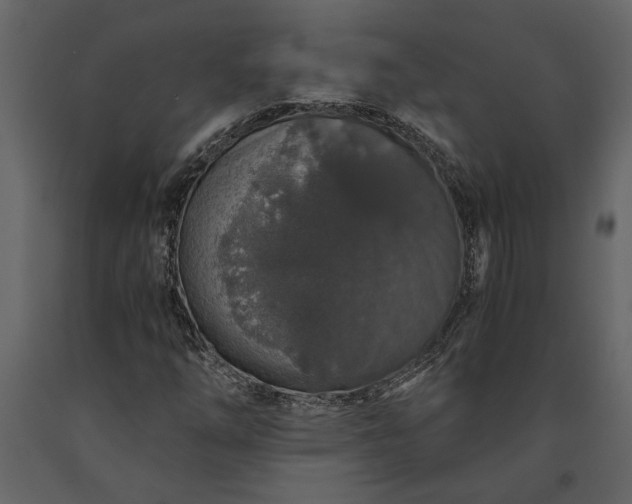 X0000091181254200708231521