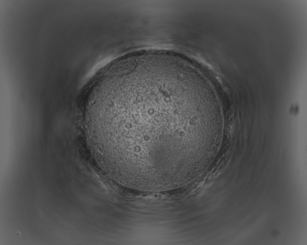 X0000091181255200708231521