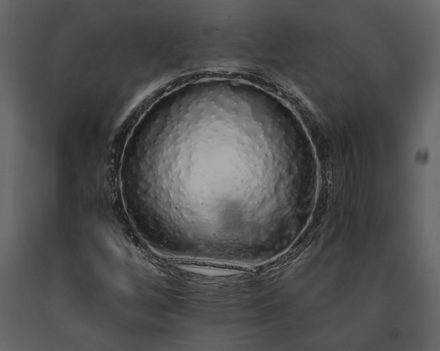 X0000091181256200708231521