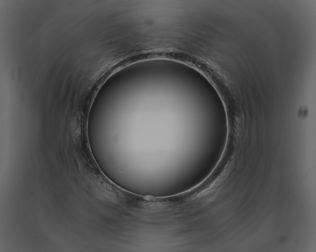X0000091181257200708231521