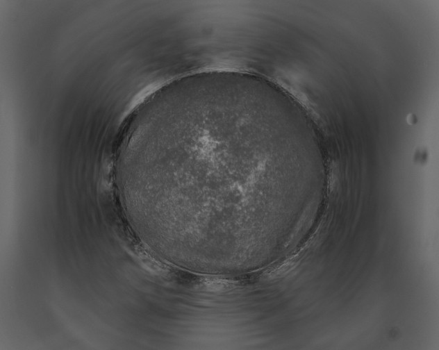 X0000091181258200708231521