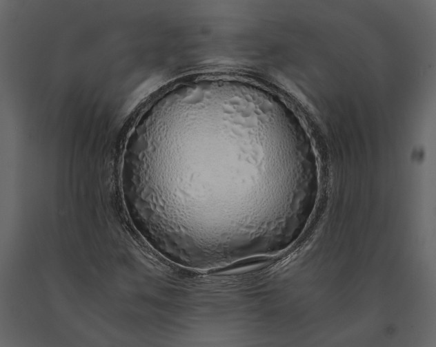 X0000091181259200708231520