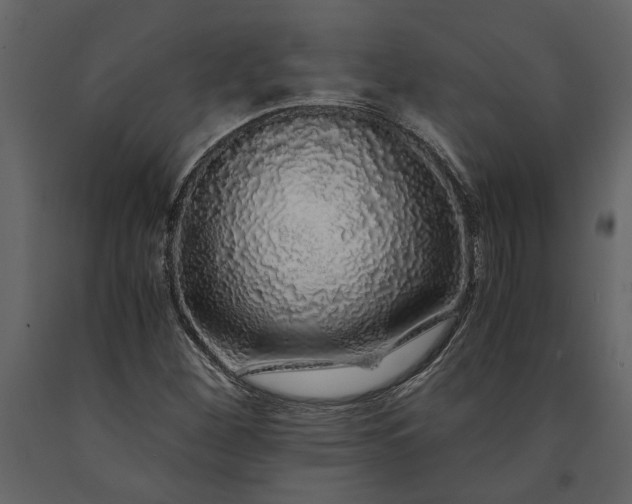 X0000091181260200708231520