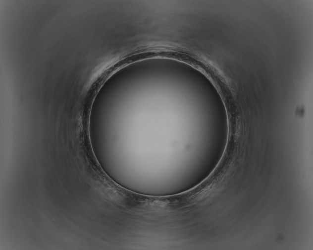 X0000091181261200708231520