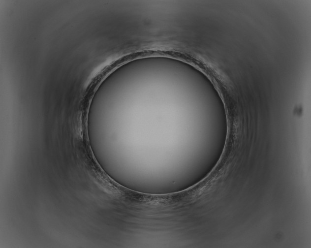 X0000091181262200708231520