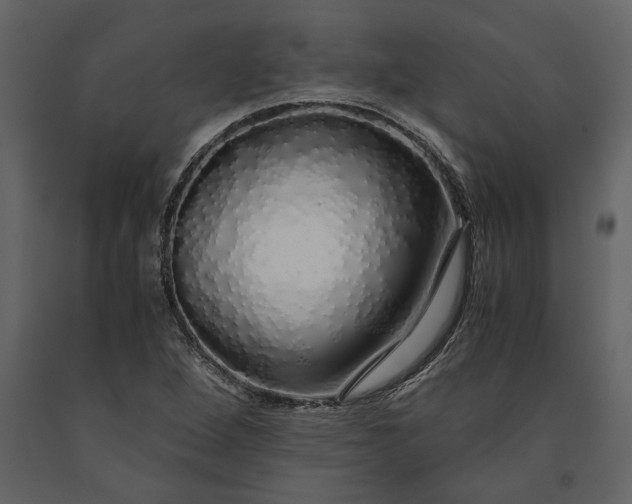 X0000091181264200708231520