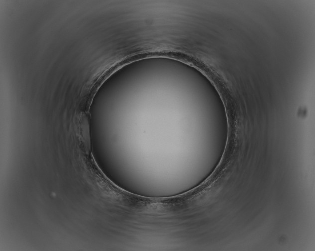 X0000091181265200708231520