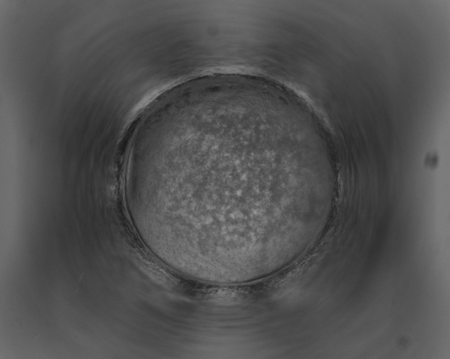 X0000091181266200708231520
