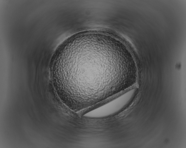 X0000091181267200708231520