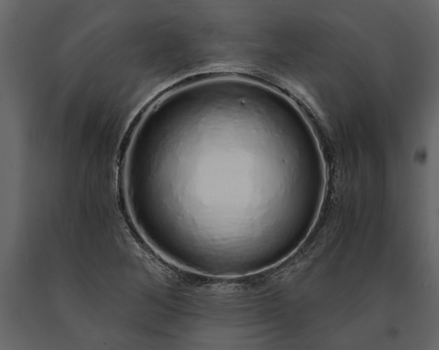 X0000091181268200708231520