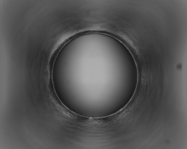 X0000091181270200708231520