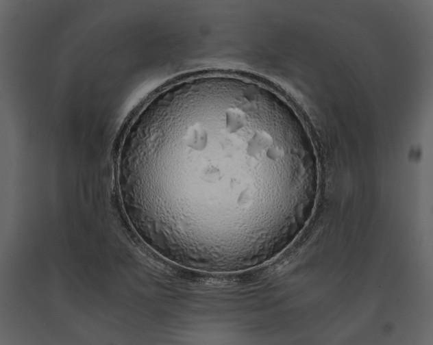 X0000091181271200708231520