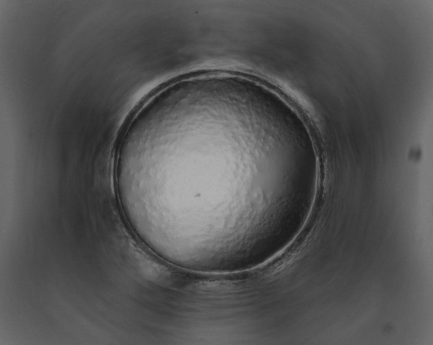 X0000091181272200708231520