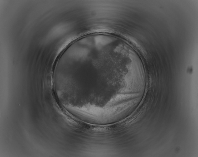 X0000091181274200708231520