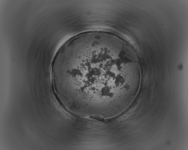 X0000091181275200708231520