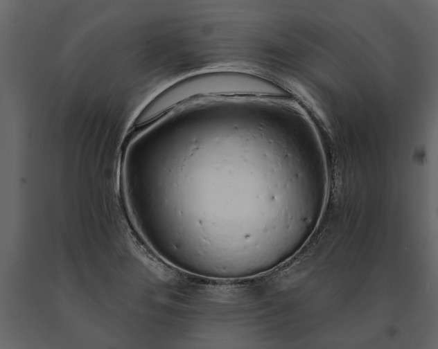 X0000091181276200708231520