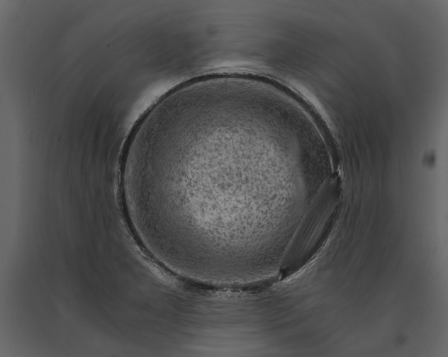 X0000091181277200708231520