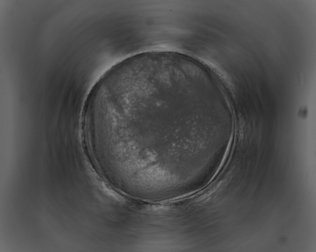 X0000091181278200708231520