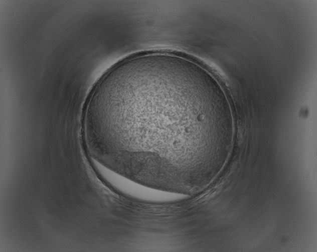 X0000091181279200708231520