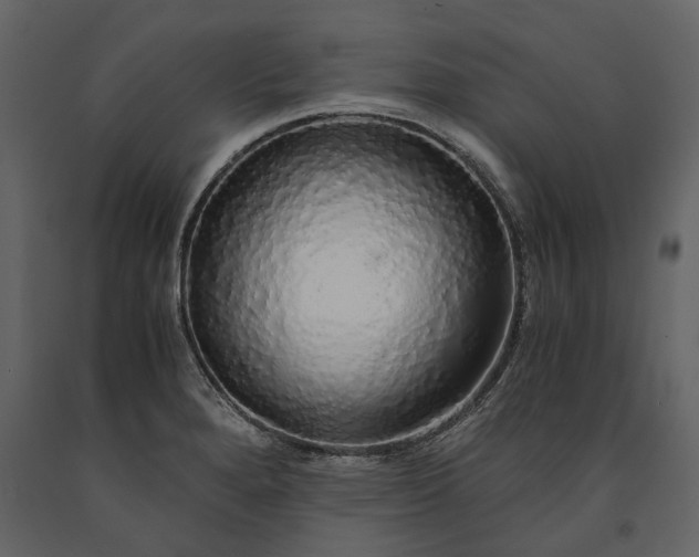 X0000091181280200708231520