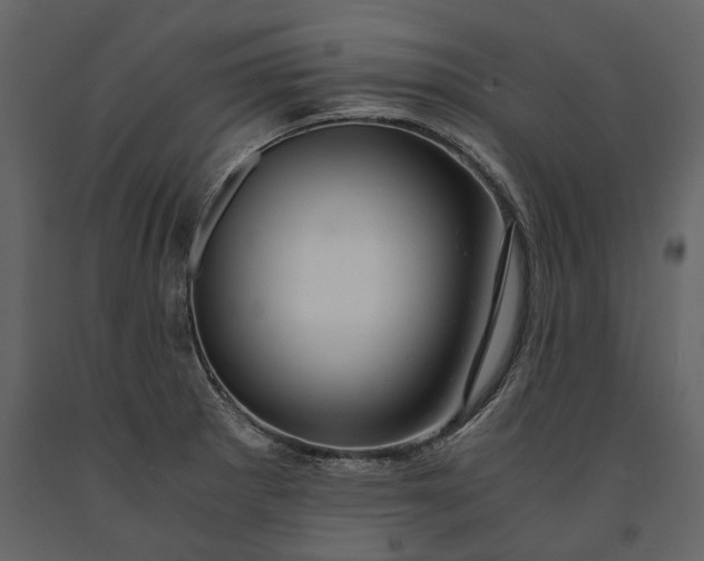 X0000091181281200708231520