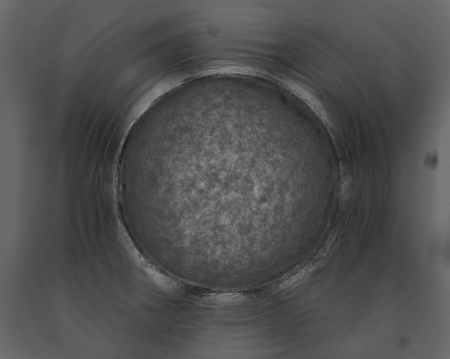 X0000091181282200708231520