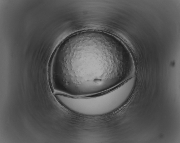 X0000091181283200708231520