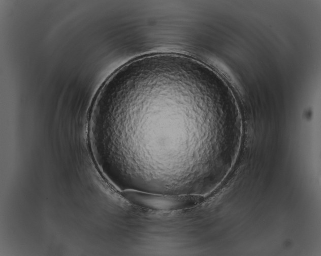 X0000091181284200708231520